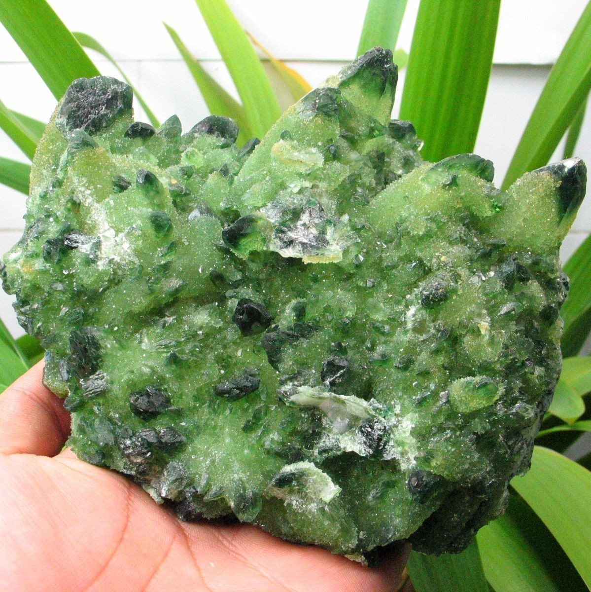 Green Quartz natural quartz treated with chromium 3794